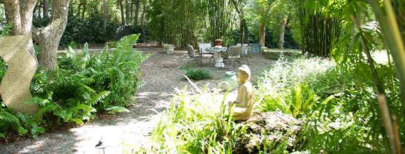 The garden