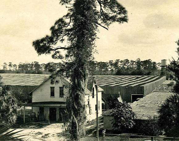 An archival photograph of the estate